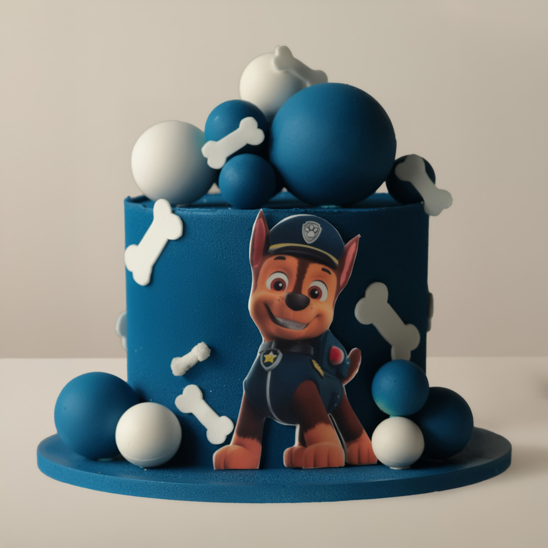 PAW patrol blue