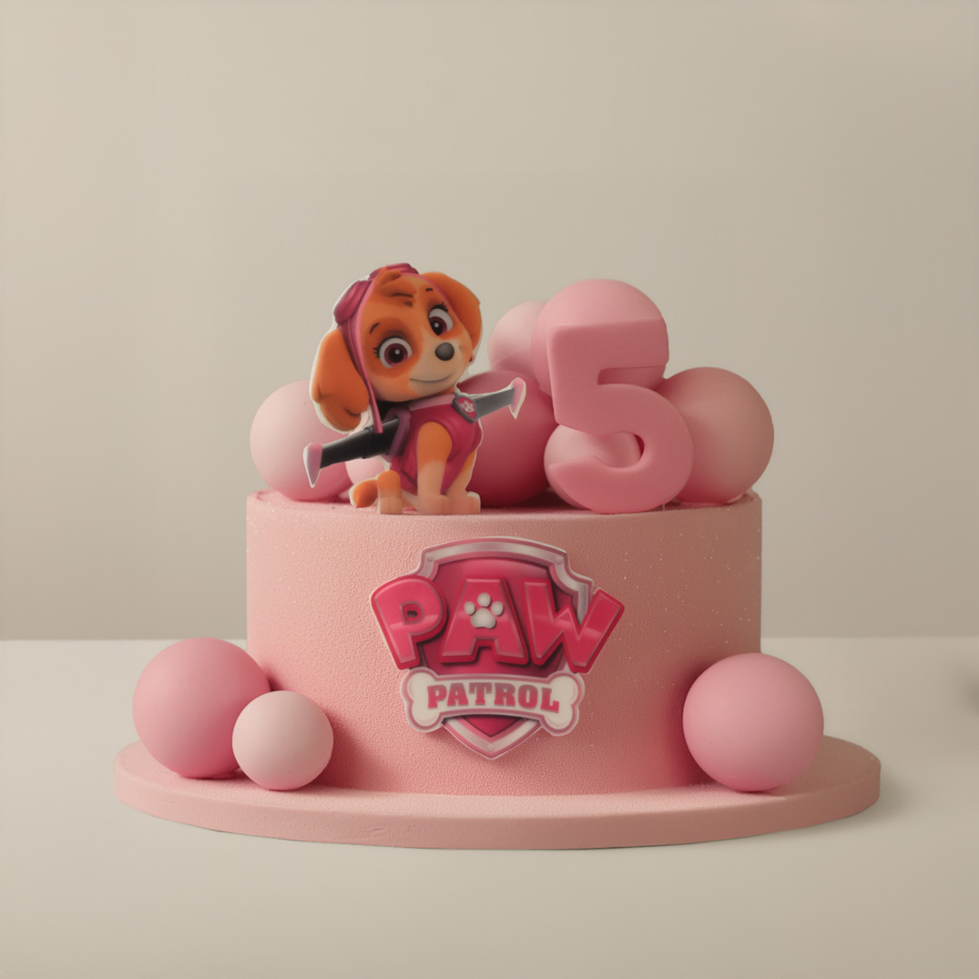 PAW patrol pink